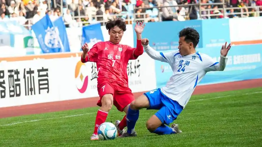 雨燕360体育免费直播